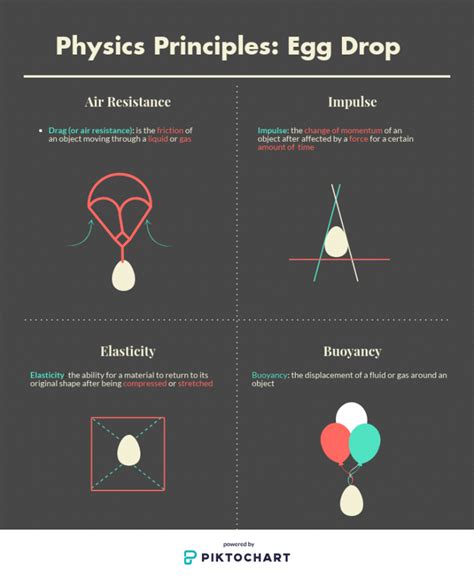 force diagram for egg drop